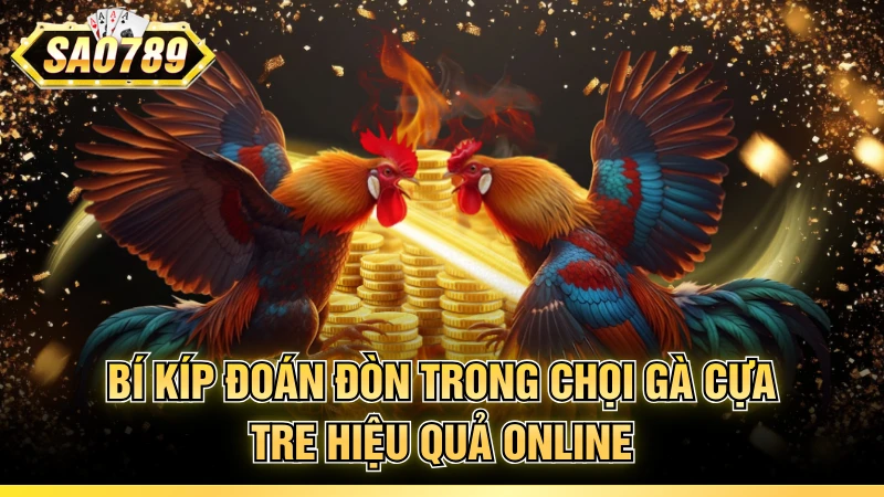 Bí kíp đoán đòn trong chọi gà cựa tre hiệu quả online