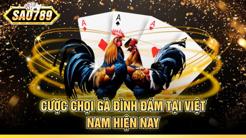 Cược chọi gà đình đám tại Việt Nam hiện nay