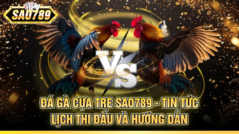 Đá gà cựa tre