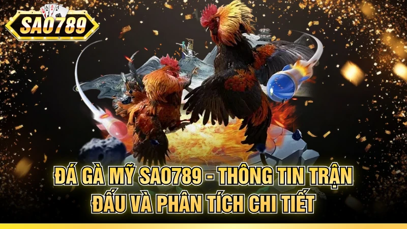 Đá gà Mỹ
