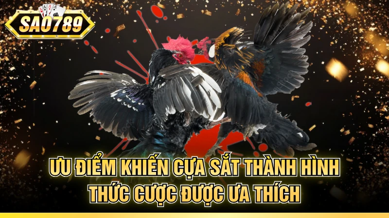 Ưu điểm khiến cựa sắt thành hình thức cược được ưa thích